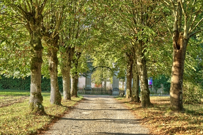 Allée centrale